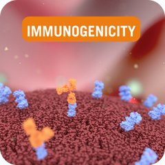 Immunogenicity